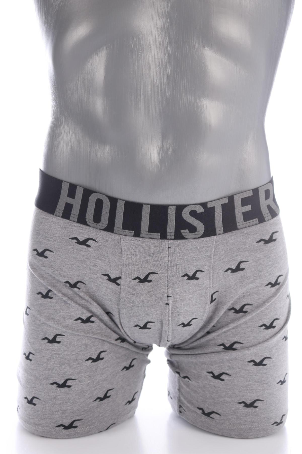 Боксери/Слипове HOLLISTER1