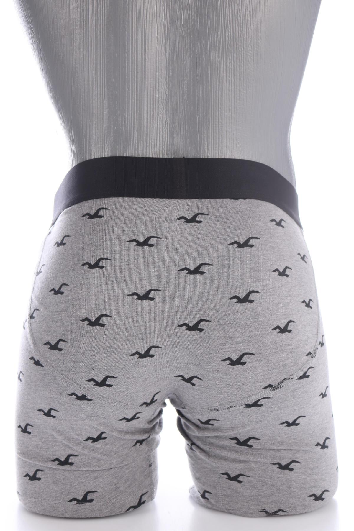 Боксери/Слипове HOLLISTER2