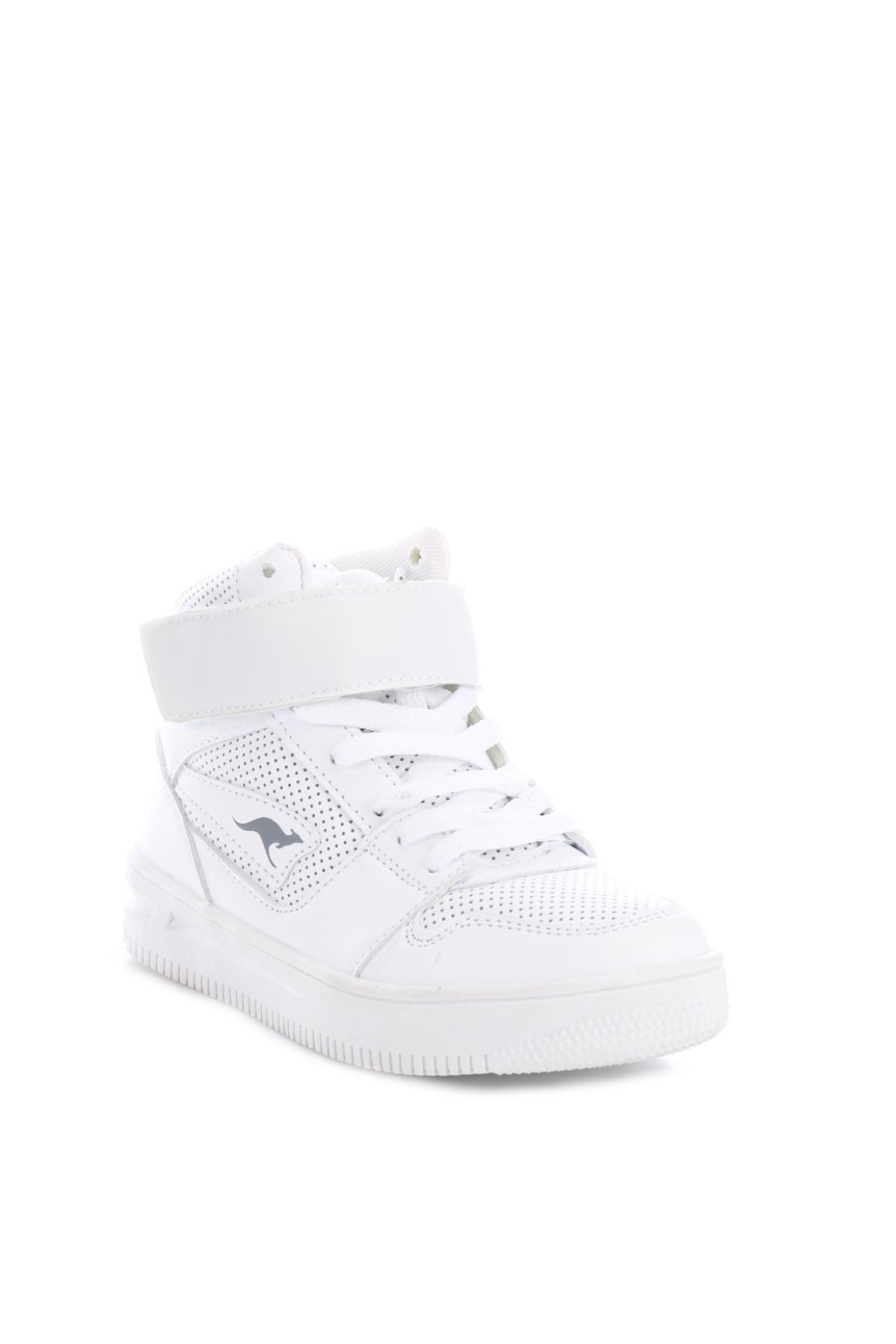 Кецове KANGAROOS2