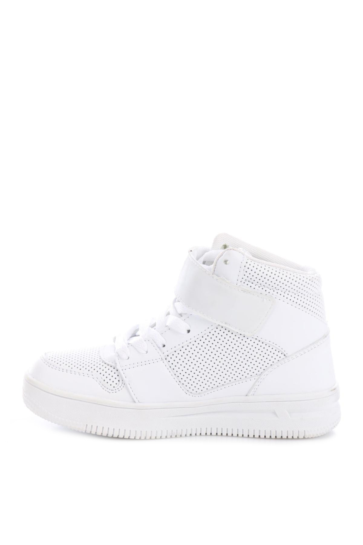 Кецове KANGAROOS3