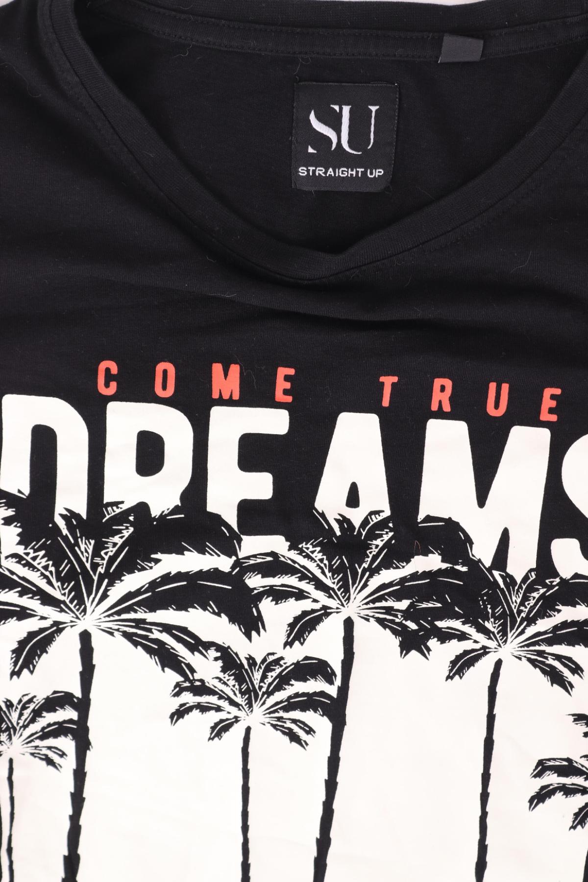 Тениска с щампа STRAIGHT UP3