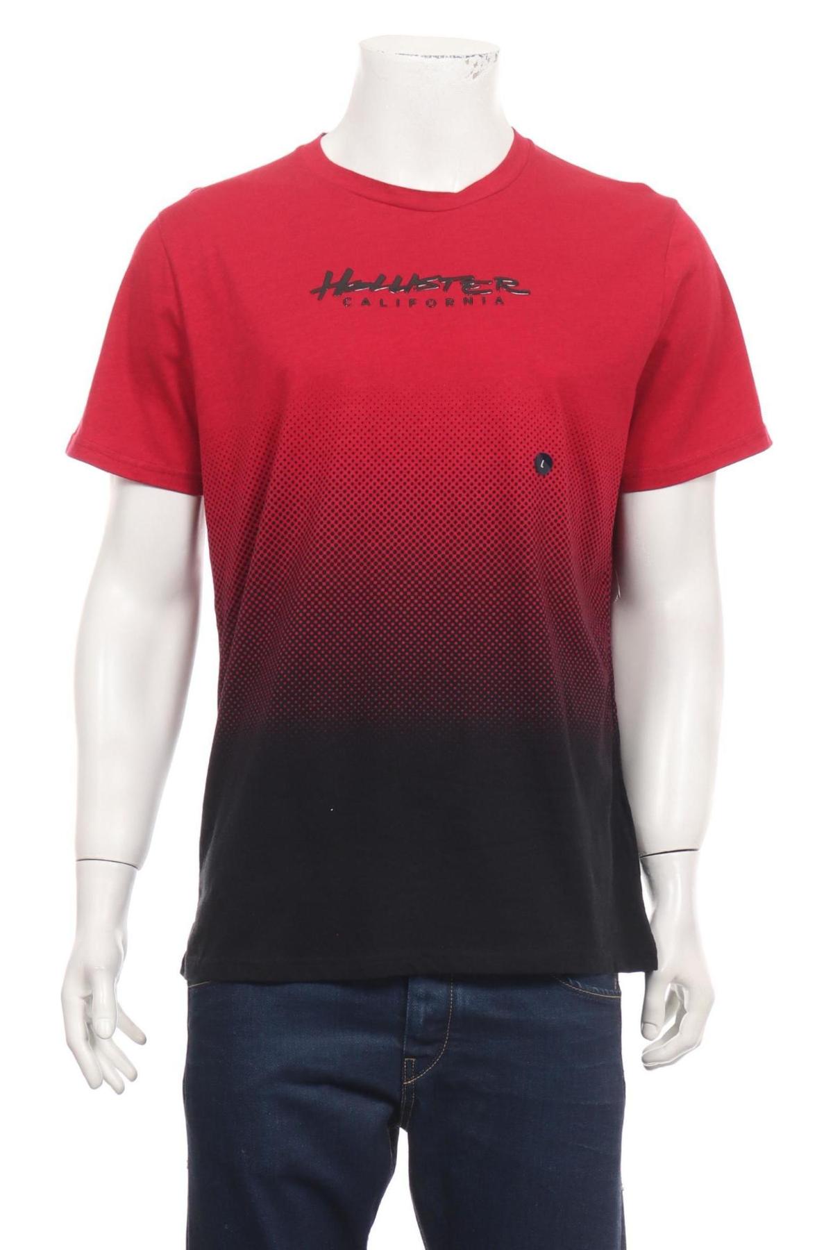 Тениска HOLLISTER1