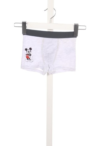 Boxeri/Slip copii DISNEY