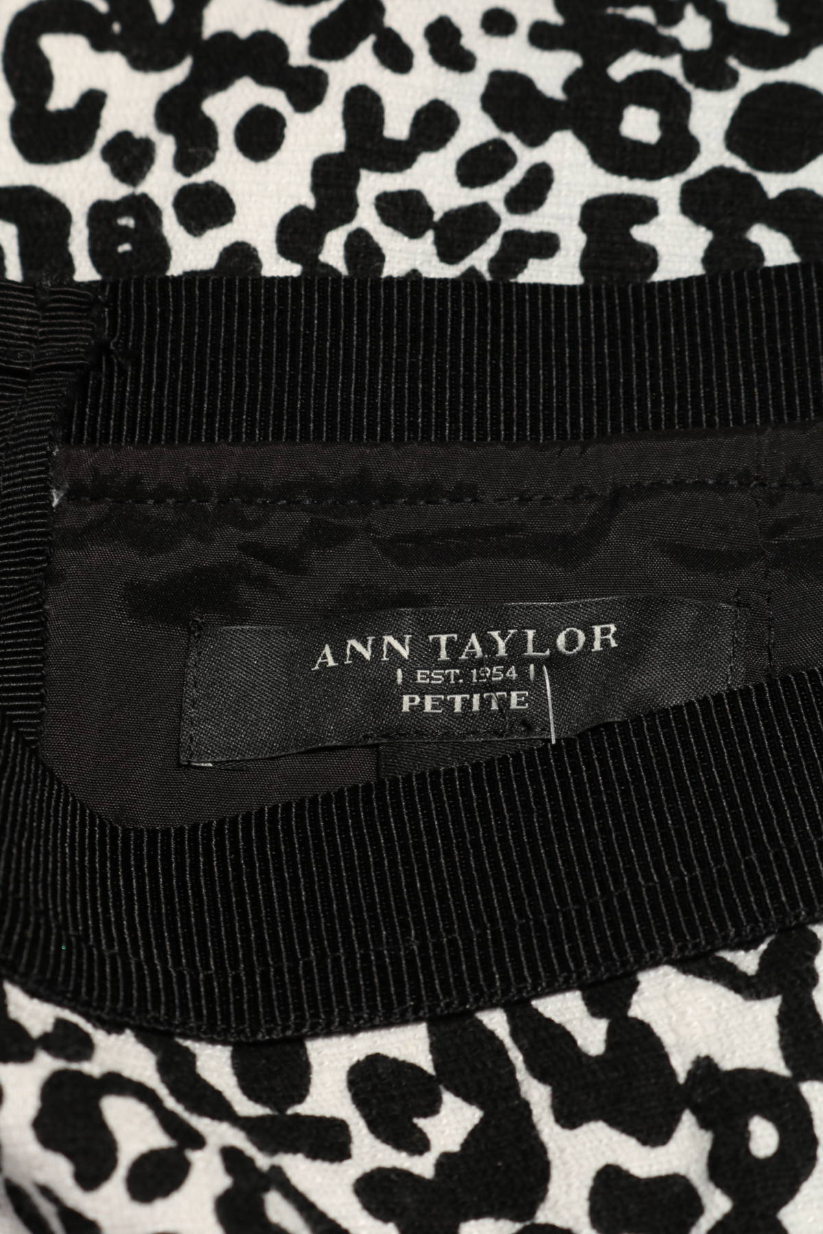 Пола ANN TAYLOR3