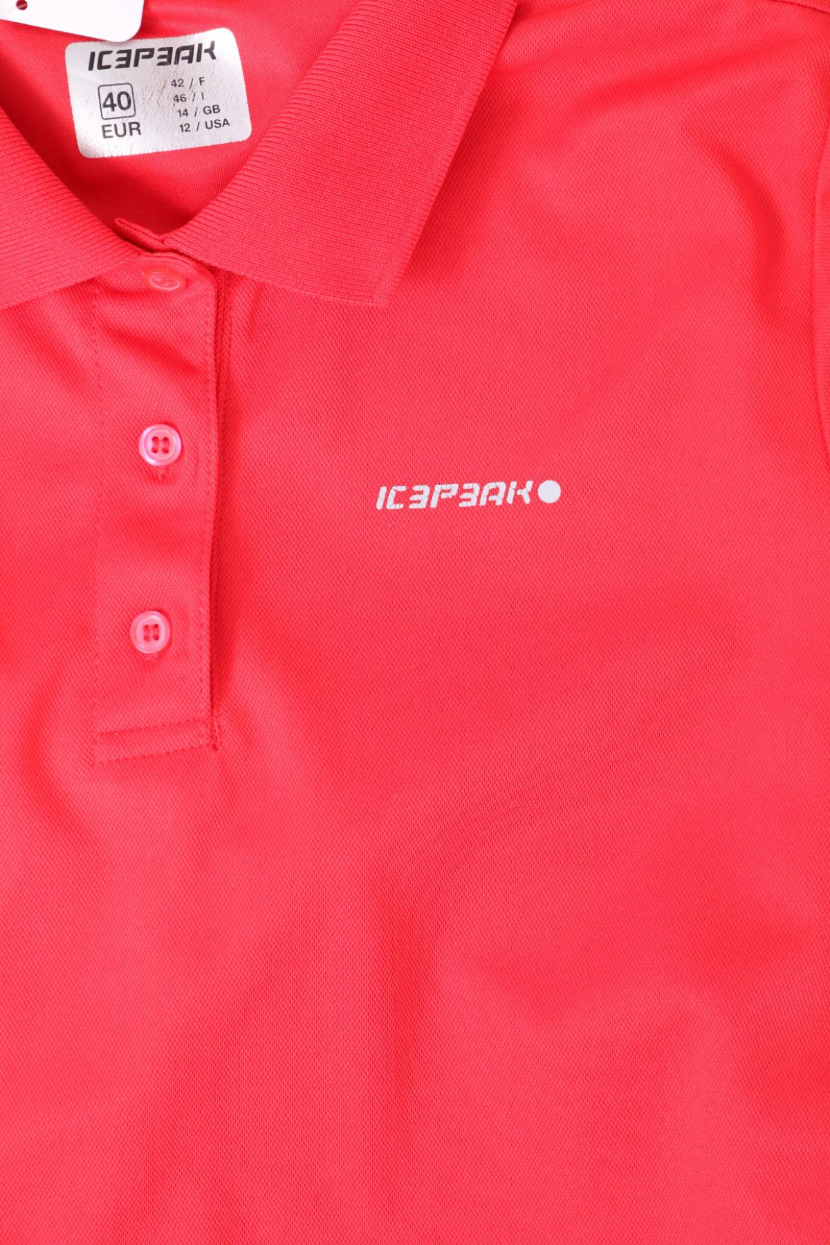  ICEPEAK4