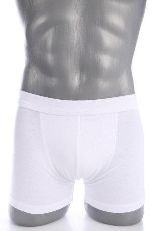 Boxeri/Slip AUTHENTIC