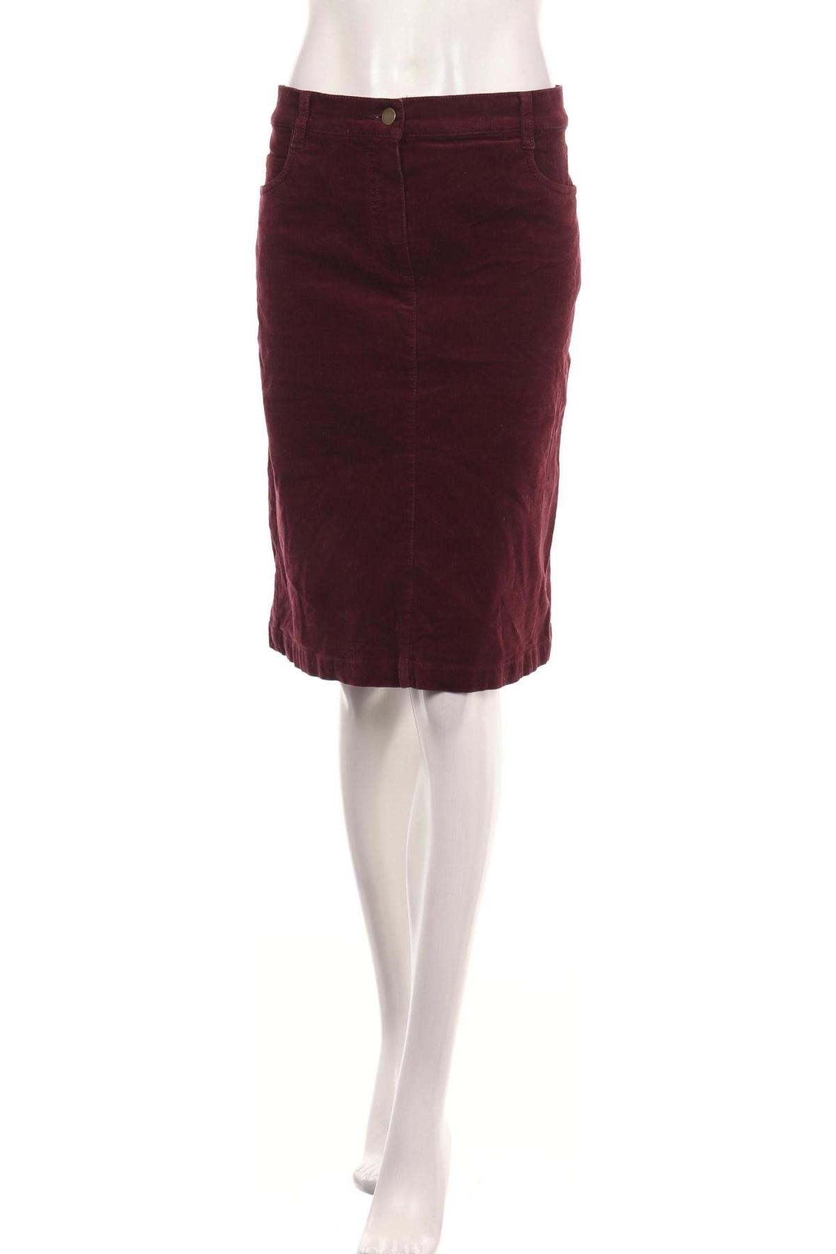 Пола PETER HAHN1