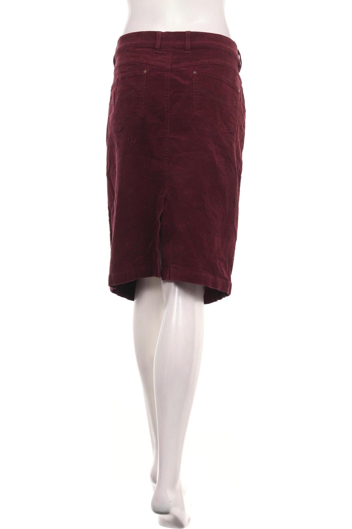 Пола PETER HAHN2